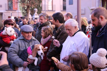 Foto enviada por fredetrero