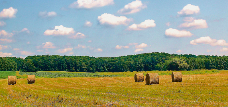 Terrenos expropiados